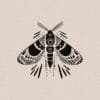 Moth 2 | Tattoo