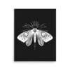 Moth 1 Original Art Print by Inkwala expressed in creative abstraction.